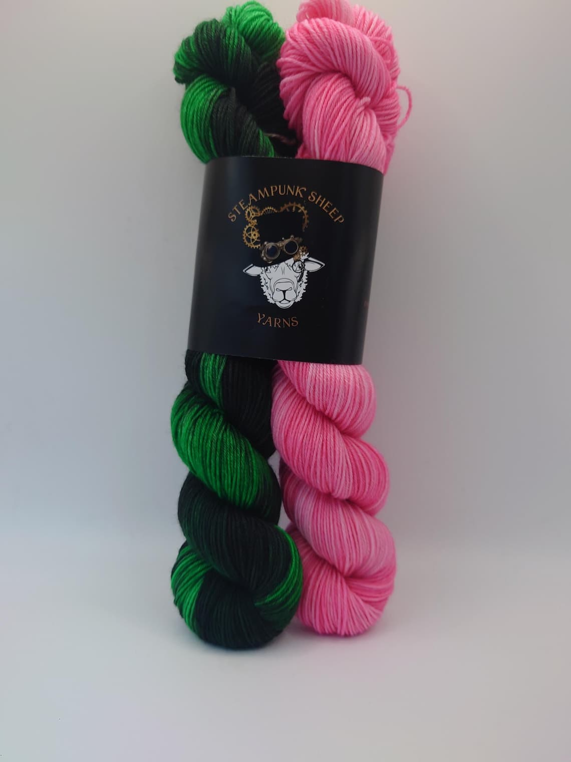 A hand-dyed skein from Steampunk Sheep Yarns